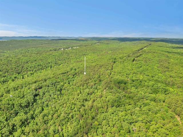 LOT718 E S Ridge Rd, Bigelow, AR 72016