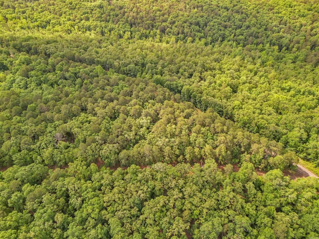 LOT718 E S Ridge Rd, Bigelow, AR 72016