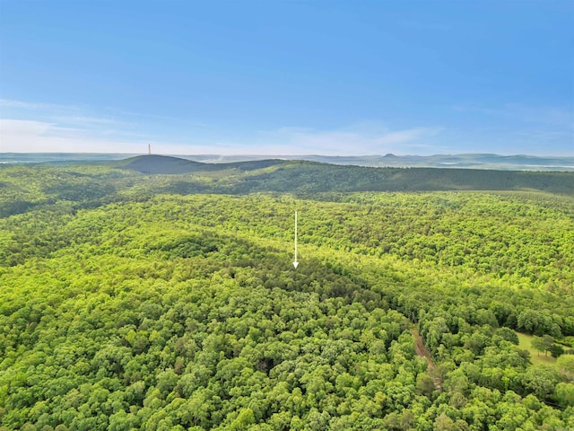 LOT718 E S Ridge Rd, Bigelow, AR 72016