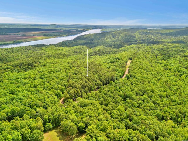 LOT718 E S Ridge Rd, Bigelow, AR 72016