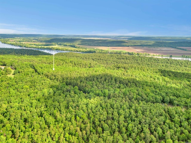 LOT718 E S Ridge Rd, Bigelow, AR 72016