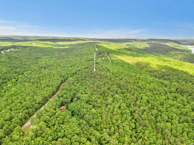 LOT718 E S Ridge Rd, Bigelow, AR 72016