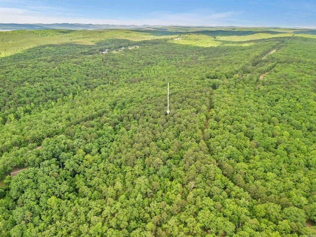 LOT718 E S Ridge Rd, Bigelow, AR 72016