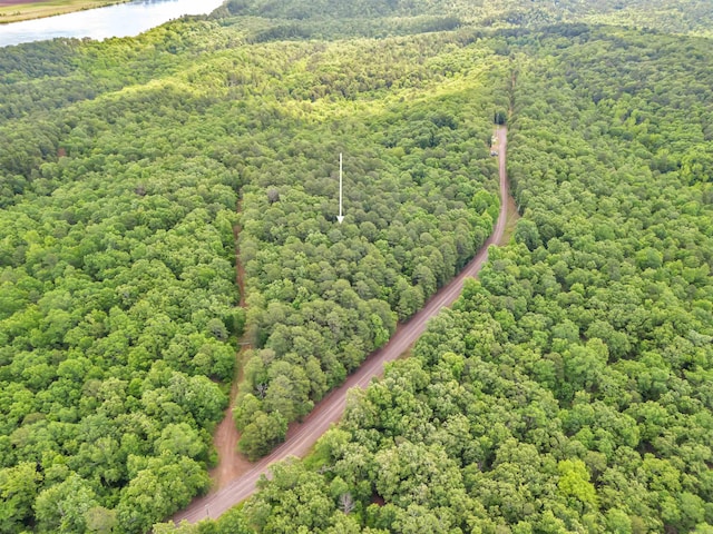 LOT718 E S Ridge Rd, Bigelow, AR 72016