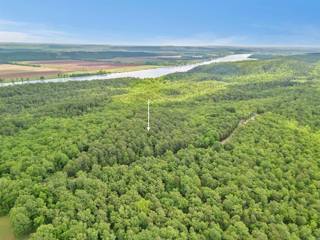LOT718 E S Ridge Rd, Bigelow, AR 72016