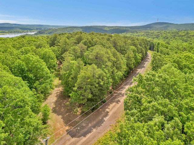 LOT718 E S Ridge Rd, Bigelow, AR 72016