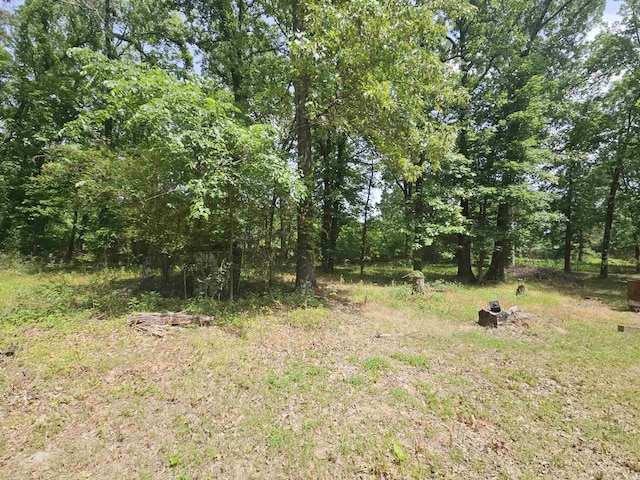 11806 Veronica, North Little Rock, AR 72118 - view of tree filled area