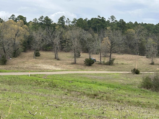 13673 Young Gravelly Rd, Gravelly, AR 72838