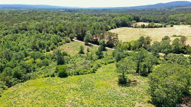 13673 Young Gravelly Rd, Gravelly, AR 72838
