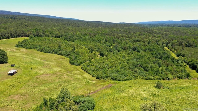 13673 Young Gravelly Rd, Gravelly, AR 72838