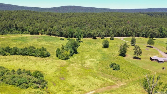 13673 Young Gravelly Rd, Gravelly, AR 72838