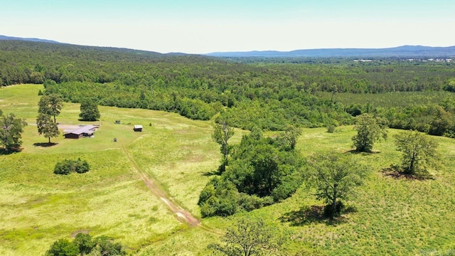 13673 Young Gravelly Rd, Gravelly, AR 72838