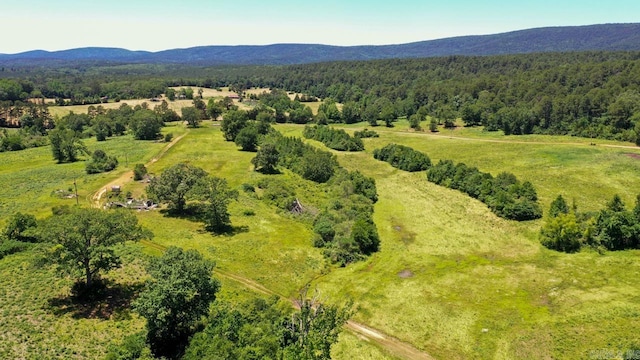 13673 Young Gravelly Rd, Gravelly, AR 72838