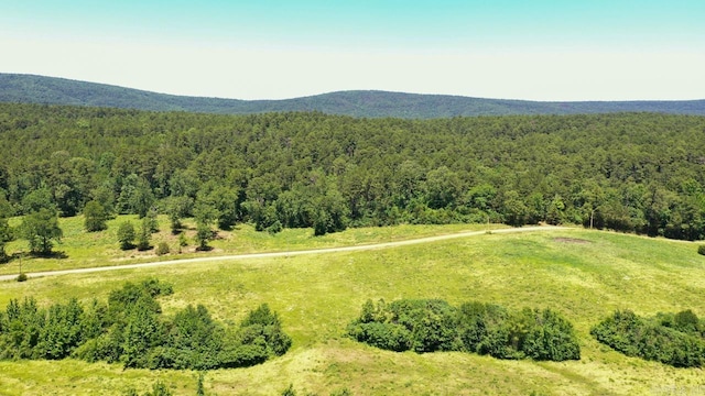 13673 Young Gravelly Rd, Gravelly, AR 72838