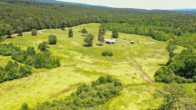 13673 Young Gravelly Rd, Gravelly, AR 72838