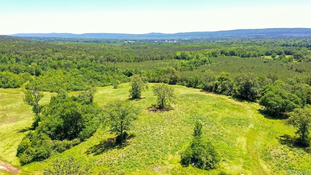 13673 Young Gravelly Rd, Gravelly, AR 72838