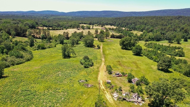 13673 Young Gravelly Rd, Gravelly, AR 72838