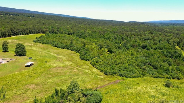 13673 Young Gravelly Rd, Gravelly, AR 72838