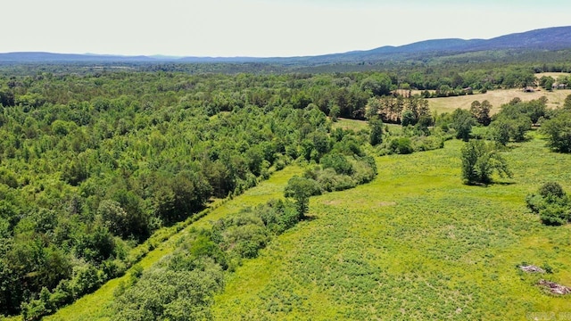13673 Young Gravelly Rd, Gravelly, AR 72838