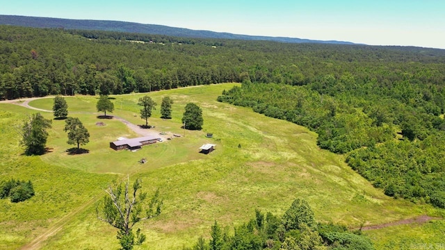 13673 Young Gravelly Rd, Gravelly, AR 72838