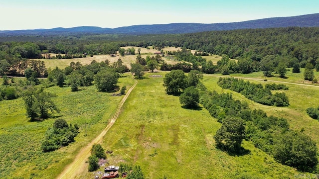 13673 Young Gravelly Rd, Gravelly, AR 72838