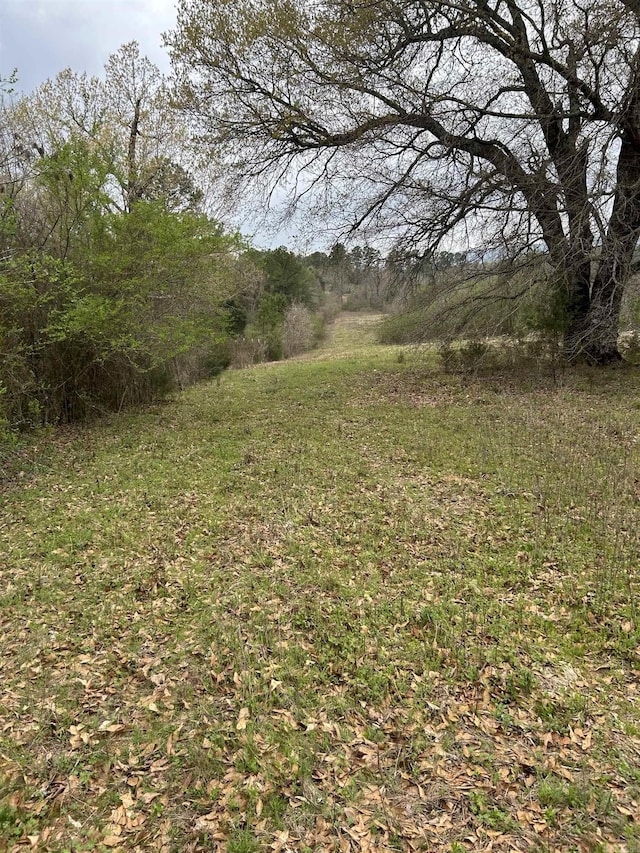 13673 Young Gravelly Rd, Gravelly, AR 72838