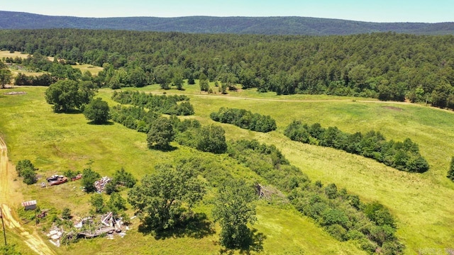 13673 Young Gravelly Rd, Gravelly, AR 72838