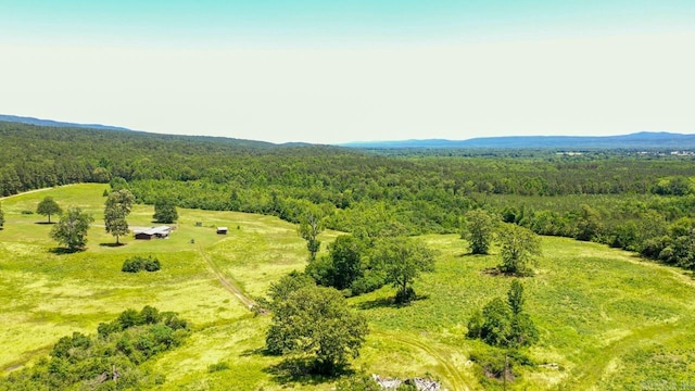 13673 Young Gravelly Rd, Gravelly, AR 72838