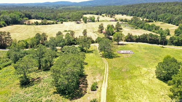 13673 Young Gravelly Rd, Gravelly, AR 72838