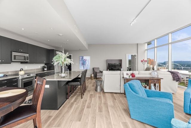 300 E Third # 1302, Little Rock, AR 72201 - kitchen with dark cabinets, appliances with stainless steel finishes, light wood-style floors, open floor plan, and a kitchen breakfast bar
