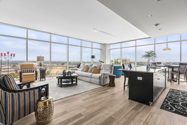300 E Third # 1302, Little Rock, AR 72201 - living area featuring a wall of windows and light wood-type flooring