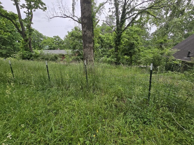 171 Riverbend Rd, Mammoth Spring, AR 72554 - view of yard