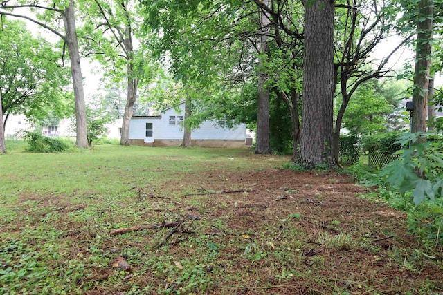 view of grassy yard