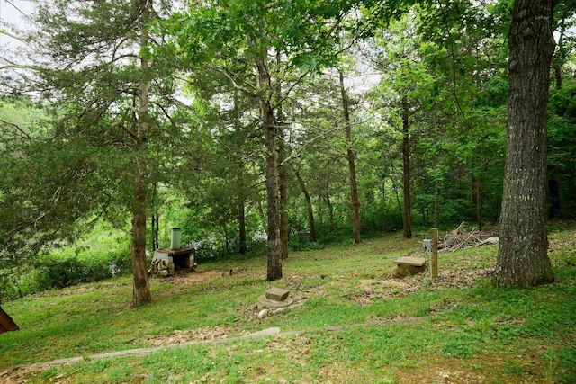1 Kiwanie Crk, Cherokee Village, AR 72542 - view of tree filled area