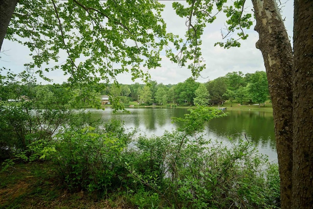 1 Kiwanie Crk, Cherokee Village, AR 72542 - water view featuring a forest