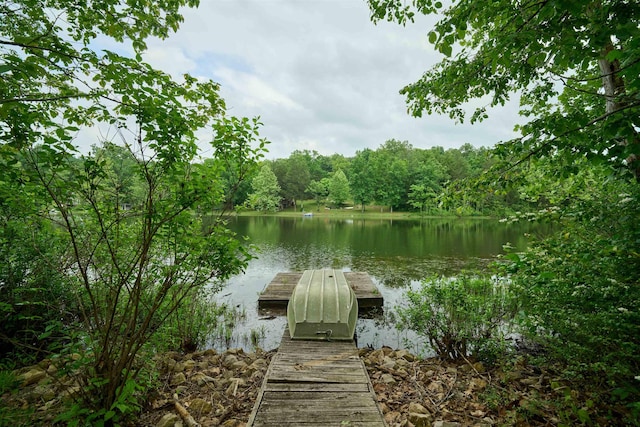 1 Kiwanie Crk, Cherokee Village, AR 72542 - dock with a water view and a view of trees