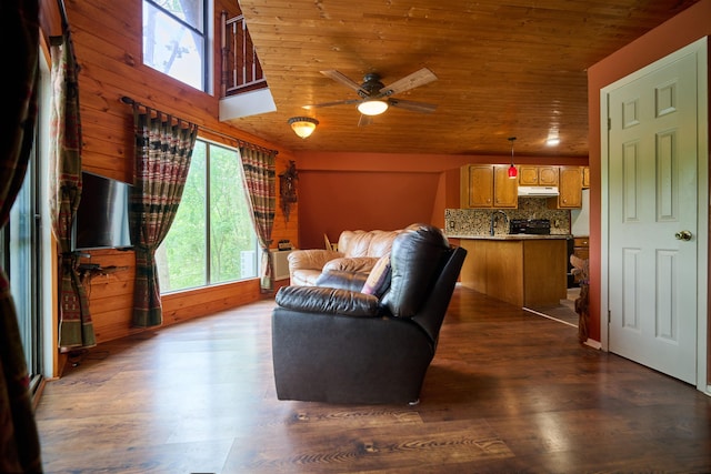 1 Kiwanie Crk, Cherokee Village, AR 72542 - living room with wood ceiling, dark wood finished floors, and ceiling fan