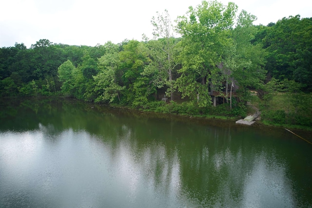 1 Kiwanie Crk, Cherokee Village, AR 72542 - water view featuring a heavily wooded area