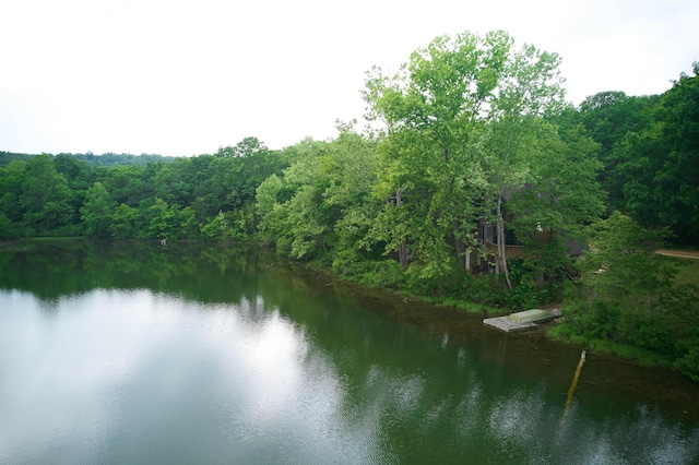 1 Kiwanie Crk, Cherokee Village, AR 72542 - water view with a forest