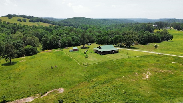 482 Ash Trl, Melbourne, AR 72556 - overview of rural landscape featuring a mountain backdrop