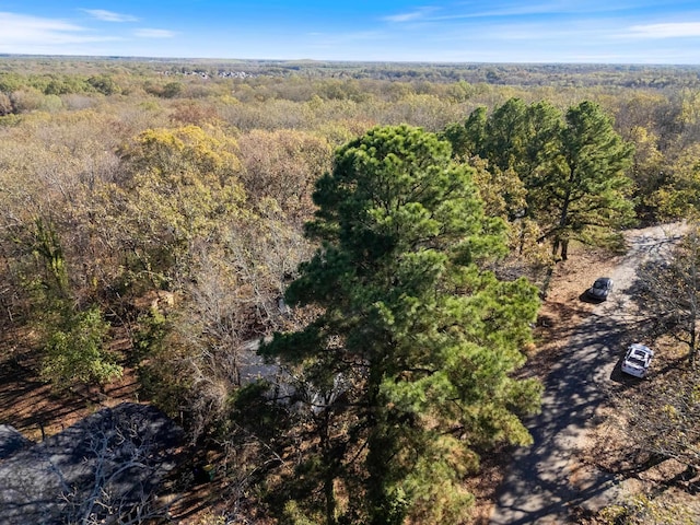 312 Eubanks Rd, Jacksonville, AR 72076 - aerial view of property's location with a forest