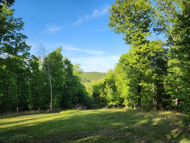3227 Red Bluff Rd, Marshall, AR 72650 - view of tree filled area