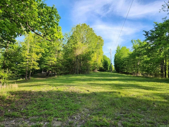 3227 Red Bluff Rd, Marshall, AR 72650 - view of grassy yard