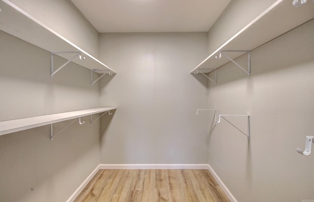 walk in closet with light wood-type flooring