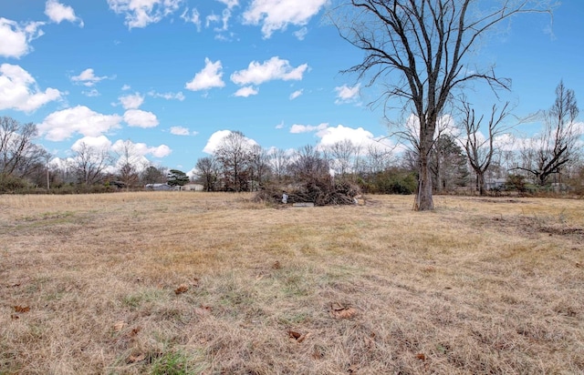 view of local wilderness featuring rural landscape