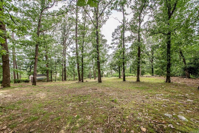 9008 Leatrice Dr, Little Rock, AR 72227 - view of undeveloped land