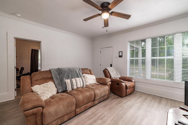 1626 Logan St, Arkadelphia, AR 71923 - living area with light wood finished floors, ornamental molding, and ceiling fan