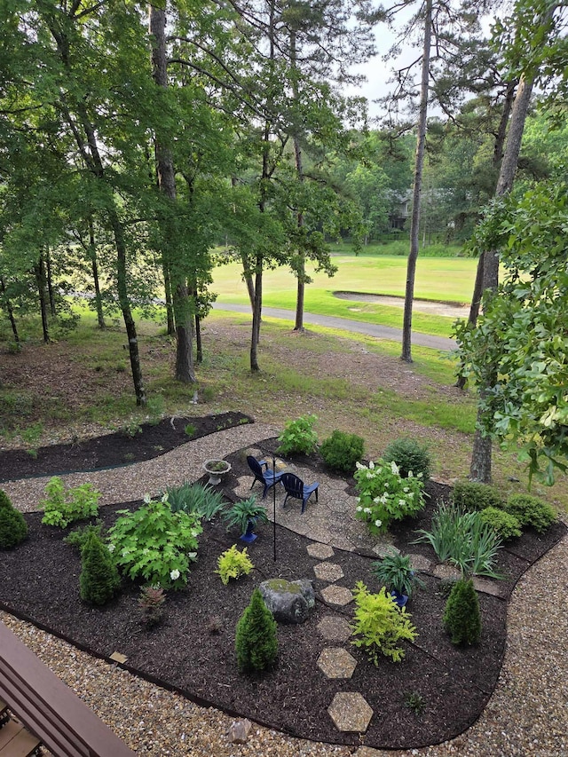 76 Justa Via Way, Hot Springs Village, AR 71909 - view of yard