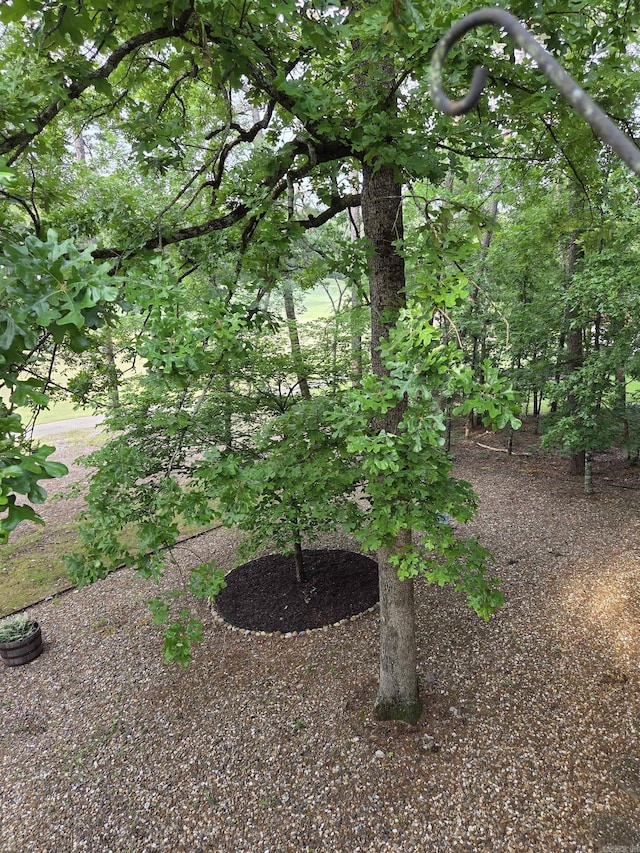 76 Justa Via Way, Hot Springs Village, AR 71909 - view of yard