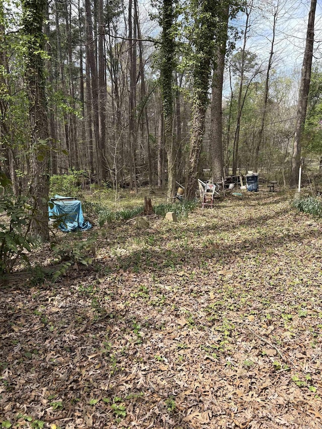 803 Carmichael Rd, Bryant, AR 72022 - view of yard